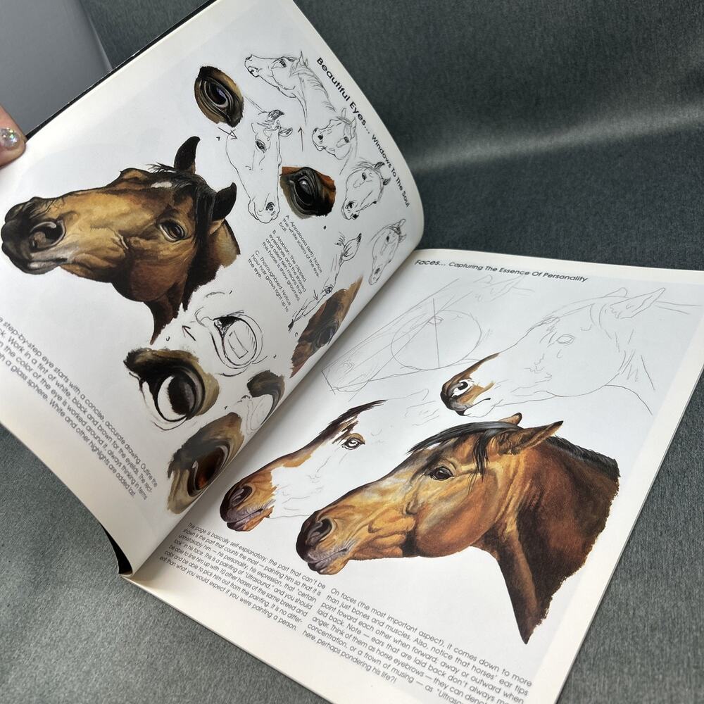 Horses Walter Foster Learn to Paint Step by Step Oil Painting Art Guide HT228 - Picture 5 of 8